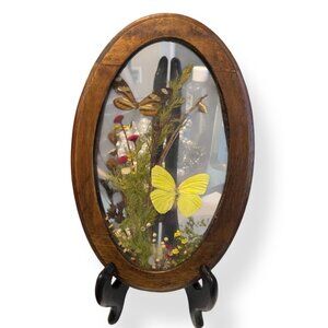 Vintage Framed Taxidermy 2 real Butterflies & Botanical Flowers Brazil Wall Art